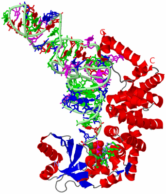 Image Asym./Biol. Unit - sites