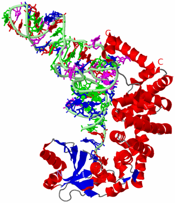 Image Asym./Biol. Unit