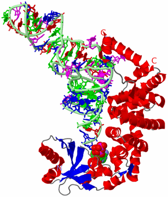 Image Asym./Biol. Unit