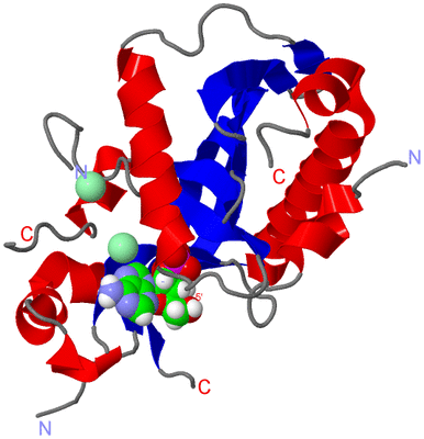 Image Asym./Biol. Unit