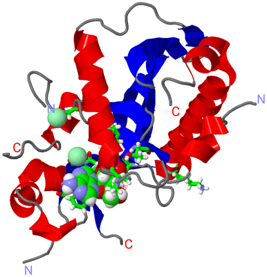 Image Asym./Biol. Unit - sites