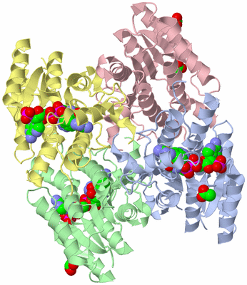 Image Asym./Biol. Unit