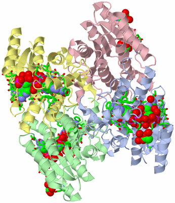 Image Asym./Biol. Unit - sites