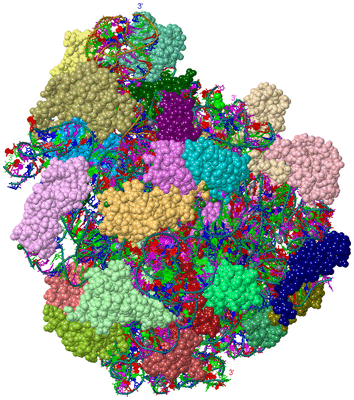 Image Asym./Biol. Unit