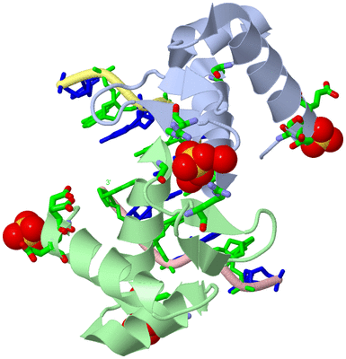 Image Asym./Biol. Unit - sites