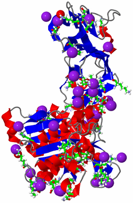 Image Asym./Biol. Unit - sites