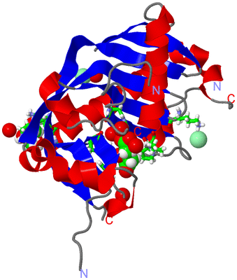 Image Asym./Biol. Unit - sites