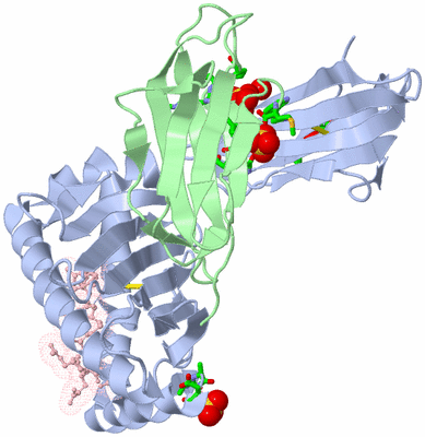 Image Biol. Unit 1 - sites