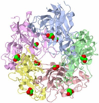 Image Asym./Biol. Unit