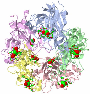 Image Asym./Biol. Unit - sites