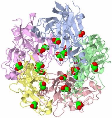 Image Asym./Biol. Unit