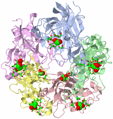 Image Asym./Biol. Unit - sites