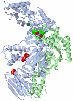 Image Asym./Biol. Unit