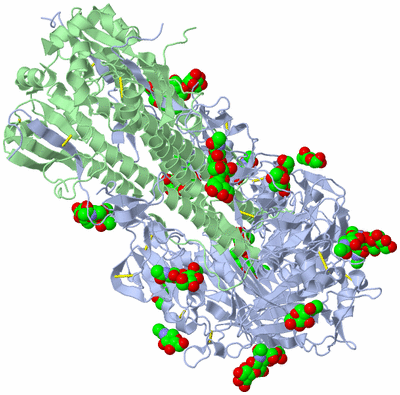 Image Biological Unit 1