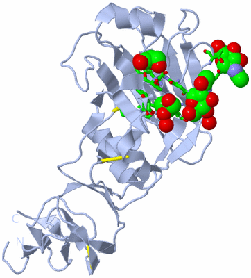 Image Biol. Unit 1 - sites