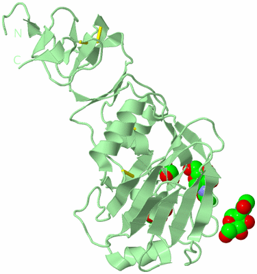 Image Biological Unit 2