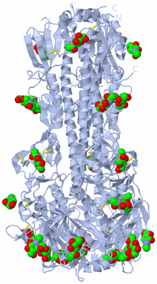 Image Biological Unit 1