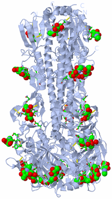 Image Biol. Unit 1 - sites