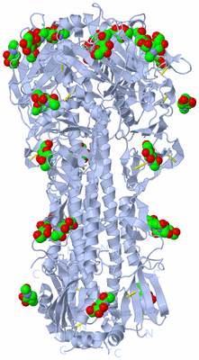 Image Biological Unit 1