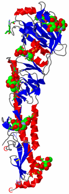 Image Asym. Unit - sites