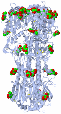 Image Biological Unit 1