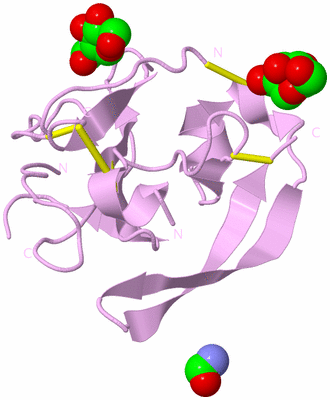 Image Biological Unit 1