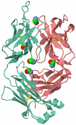 Image Biological Unit 2