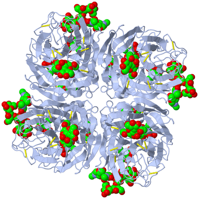 Image Biological Unit 1