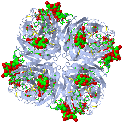 Image Biol. Unit 1 - sites