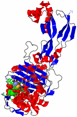 Image Asym./Biol. Unit - sites