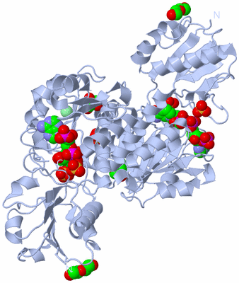 Image Biological Unit 1