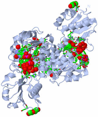 Image Biol. Unit 1 - sites