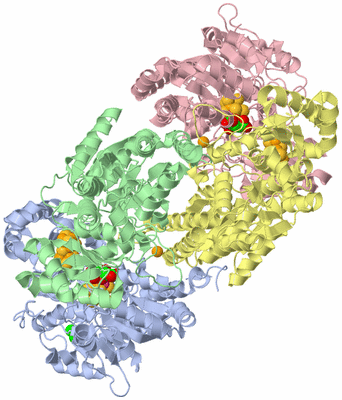 Image Asym./Biol. Unit