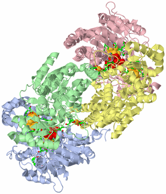 Image Asym./Biol. Unit - sites