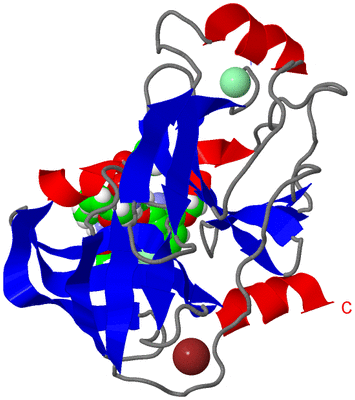 Image Asym./Biol. Unit