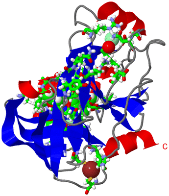 Image Asym./Biol. Unit - sites