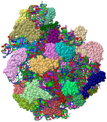 Image Asym./Biol. Unit