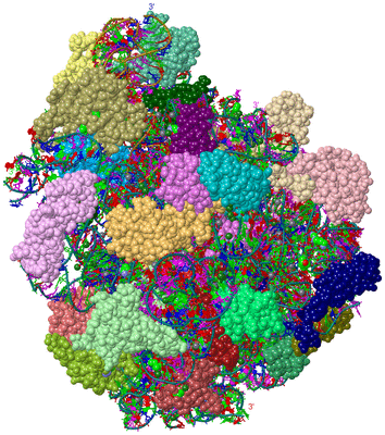 Image Asym./Biol. Unit - sites