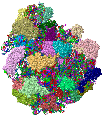 Image Asym./Biol. Unit