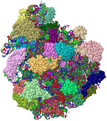 Image Asym./Biol. Unit - sites