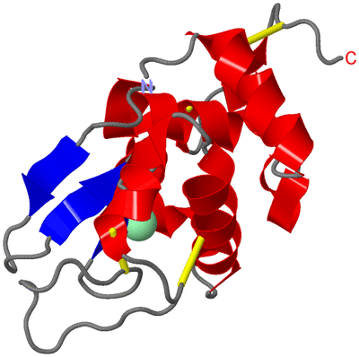 Image Asym./Biol. Unit