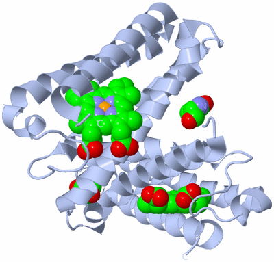 Image Biological Unit 1