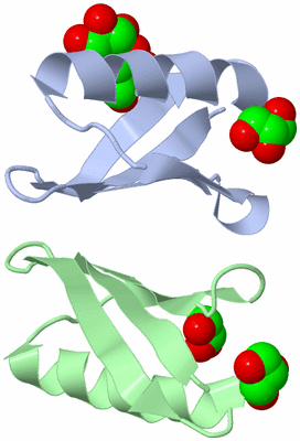 Image Asymmetric Unit