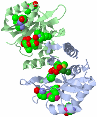 Image Asym./Biol. Unit