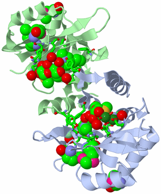 Image Asym./Biol. Unit - sites