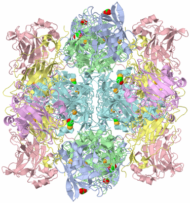 Image Biological Unit 1