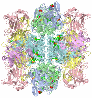 Image Biol. Unit 1 - sites