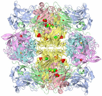 Image Biological Unit 1