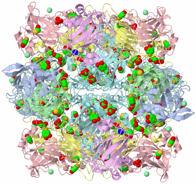 Image Biological Unit 1