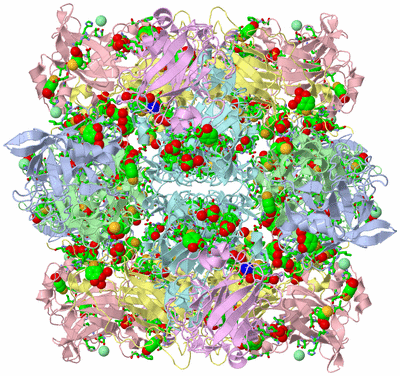 Image Biol. Unit 1 - sites